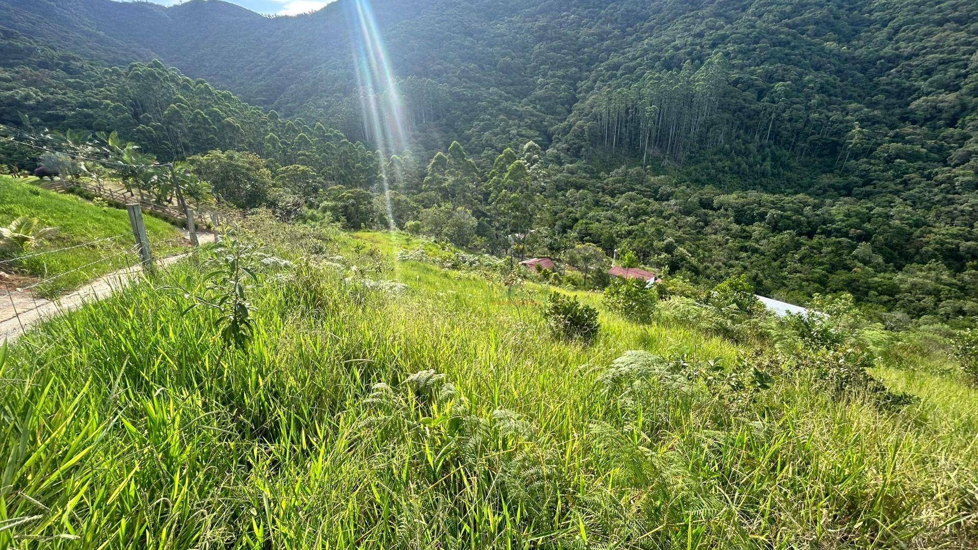 Sítio, 3 quartos, 2 hectares - Foto 5