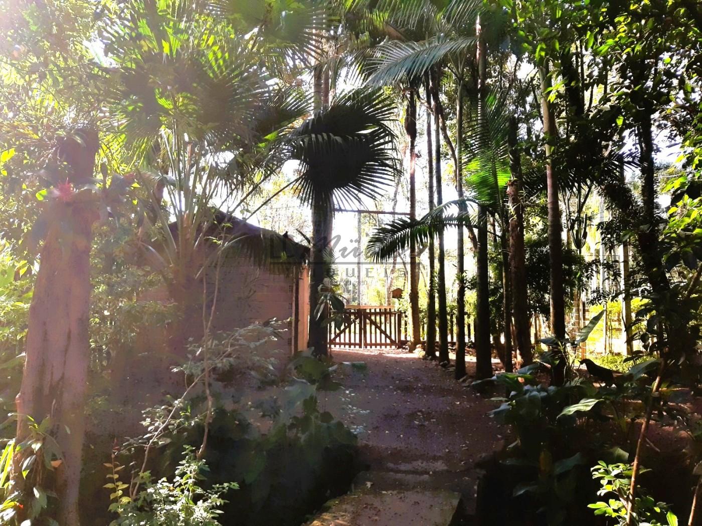 Sítio à venda, 600m² - Foto 6