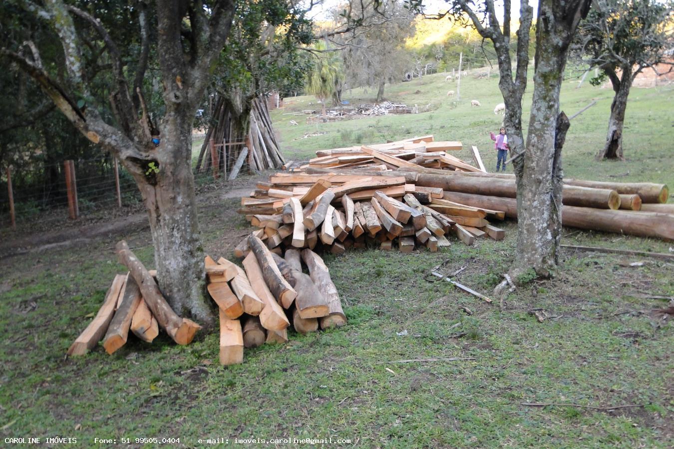 Fazenda à venda com 2 quartos, 180000m² - Foto 16