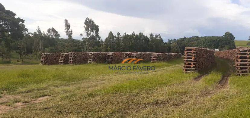 Fazenda à venda, 1210000M2 - Foto 3