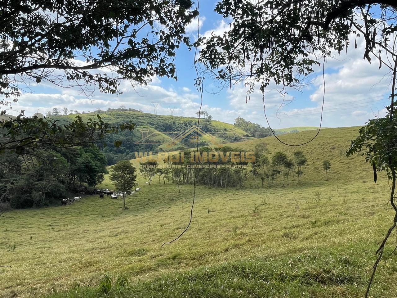 Fazenda à venda, 220m² - Foto 5