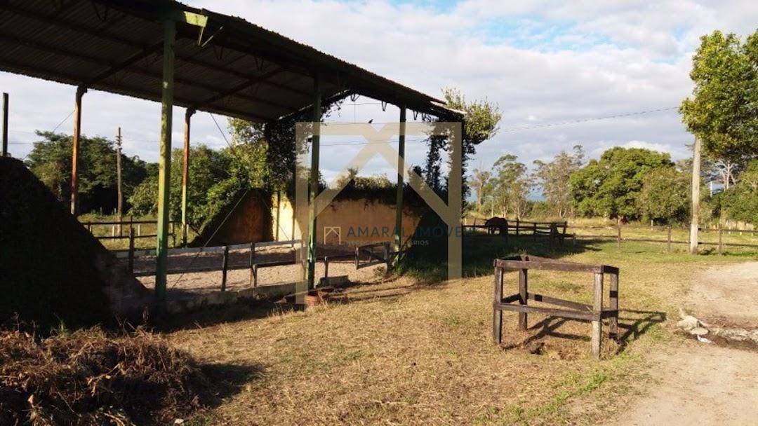 Haras e Área Rural Padrão à venda com 3 quartos, 3M2 - Foto 5