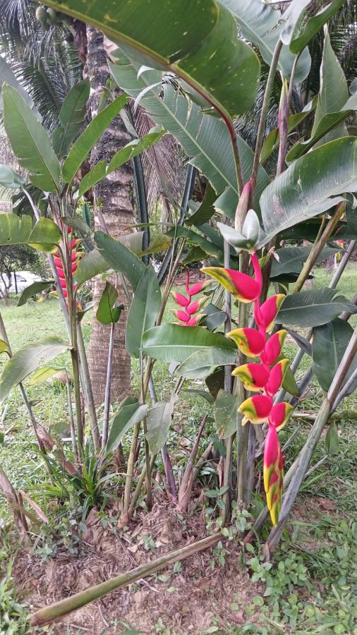 Fazenda à venda com 4 quartos, 2500m² - Foto 20