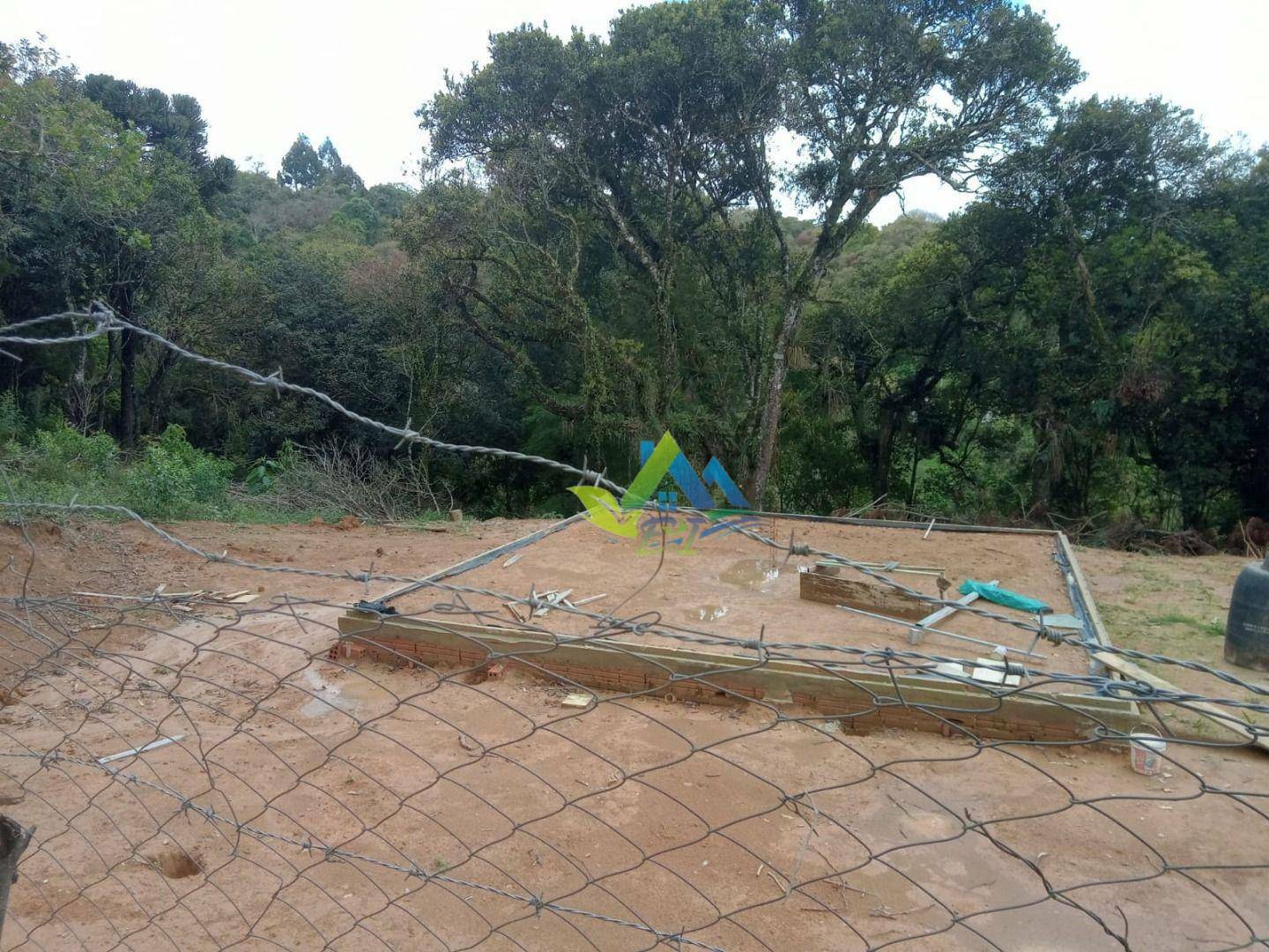 Sítio à venda com 2 quartos, 8697M2 - Foto 24