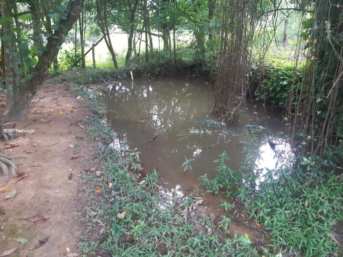 Fazenda à venda com 4 quartos, 36m² - Foto 18