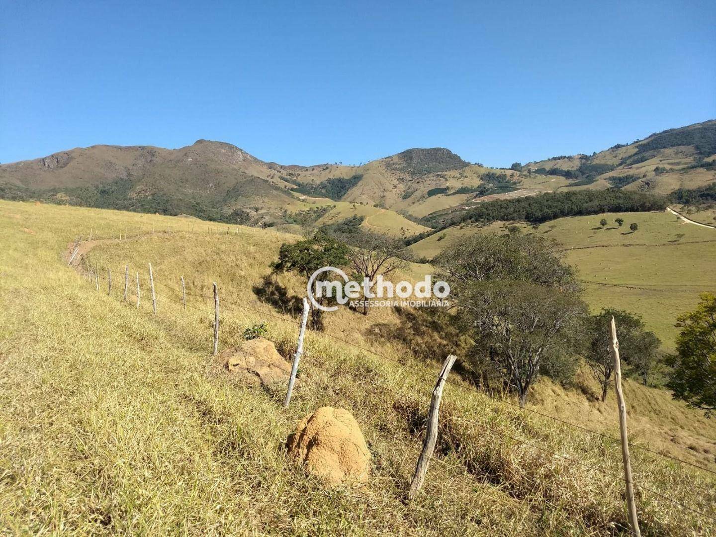 Fazenda à venda com 3 quartos, 123m² - Foto 12