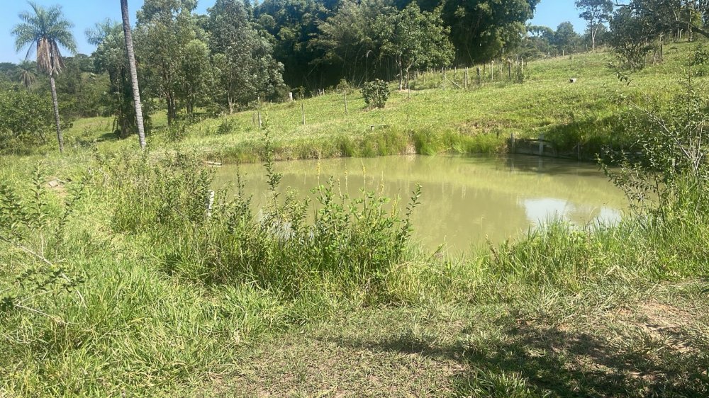 Fazenda à venda com 3 quartos, 45000m² - Foto 3