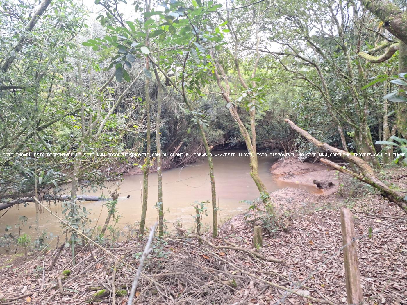 Fazenda à venda com 2 quartos, 6790m² - Foto 15