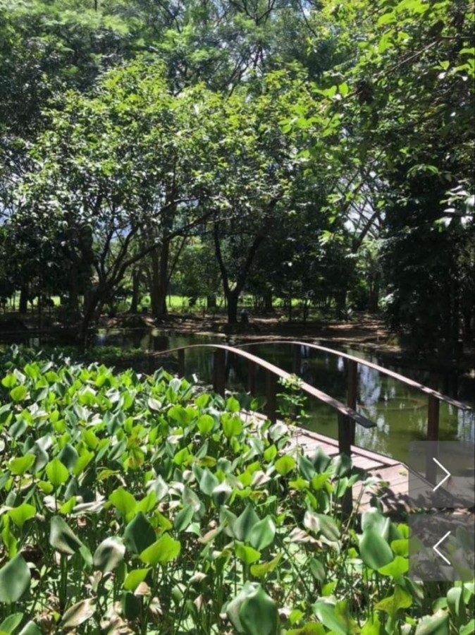 Terreno à venda, 329m² - Foto 9