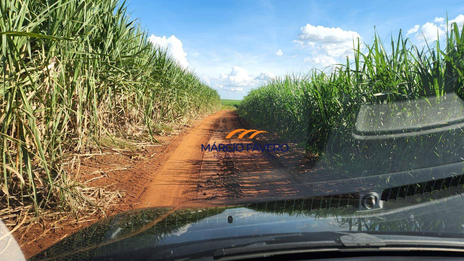 Fazenda, 140 hectares - Foto 4