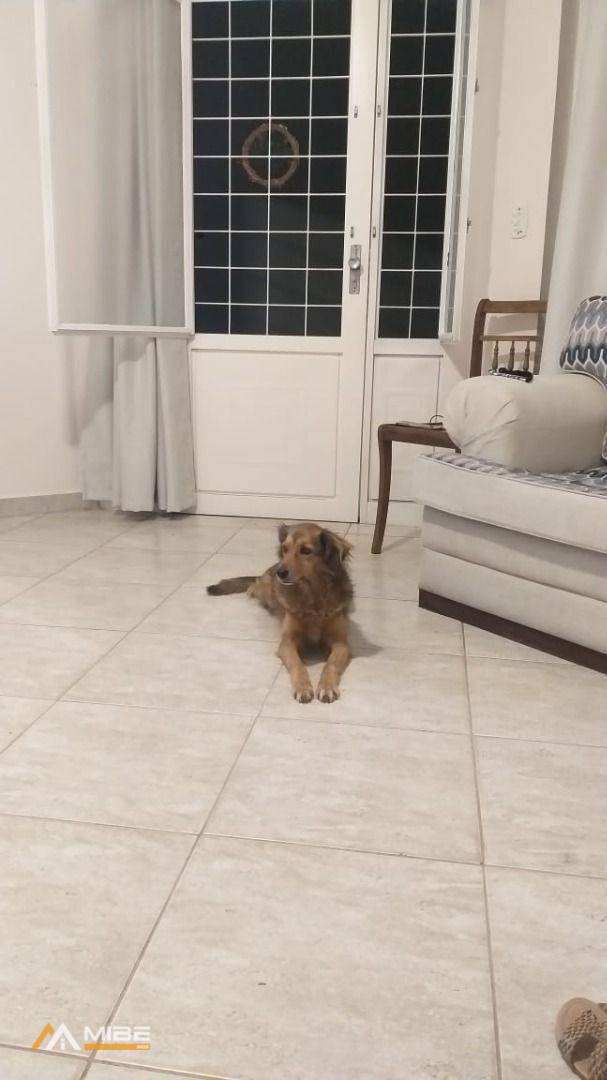 Casa à venda e aluguel com 3 quartos, 162m² - Foto 14
