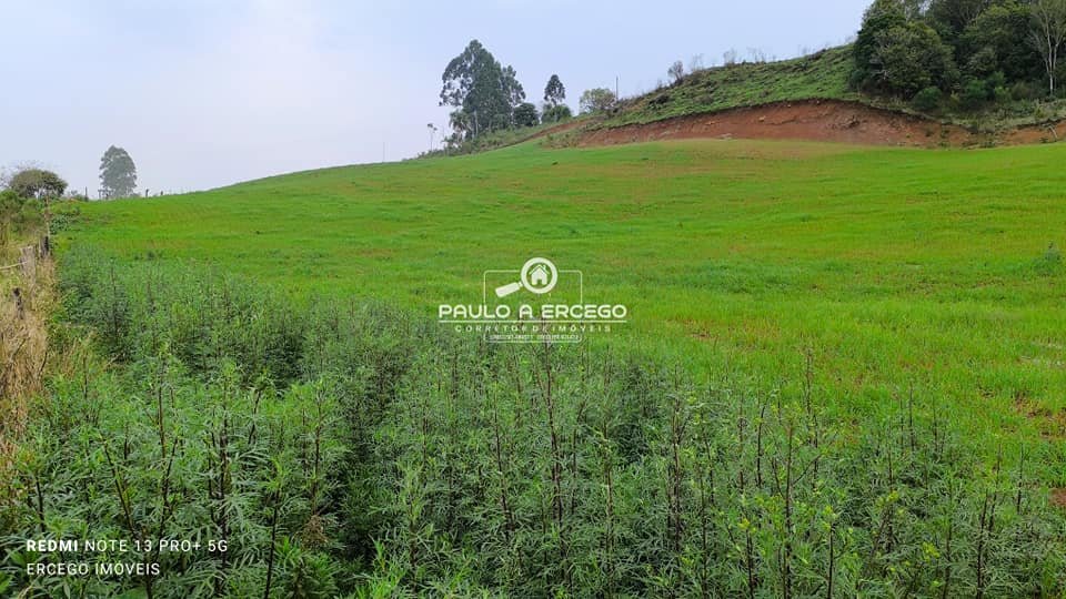 Sítio, 6 hectares - Foto 1