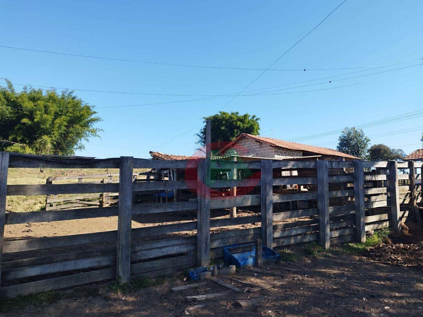 Sítio à venda com 2 quartos, 80m² - Foto 10