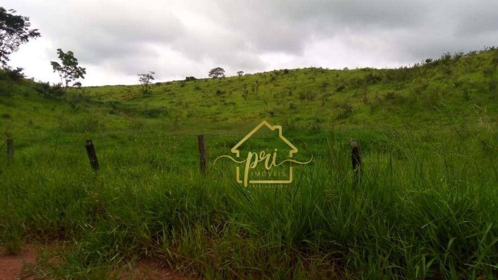 Fazenda à venda com 1 quarto, 1000m² - Foto 1