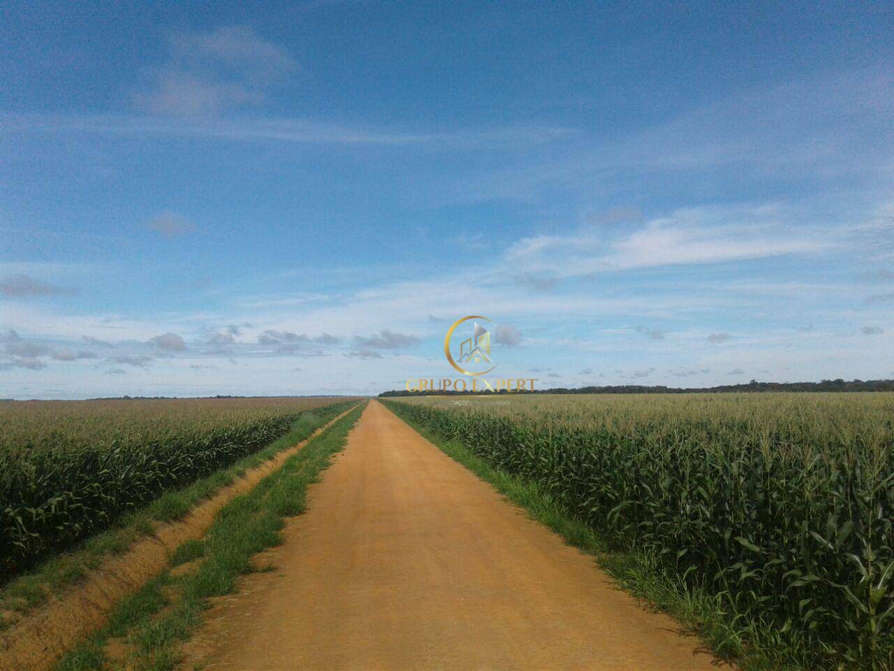 Fazenda à venda com 3 quartos, 159120000M2 - Foto 4