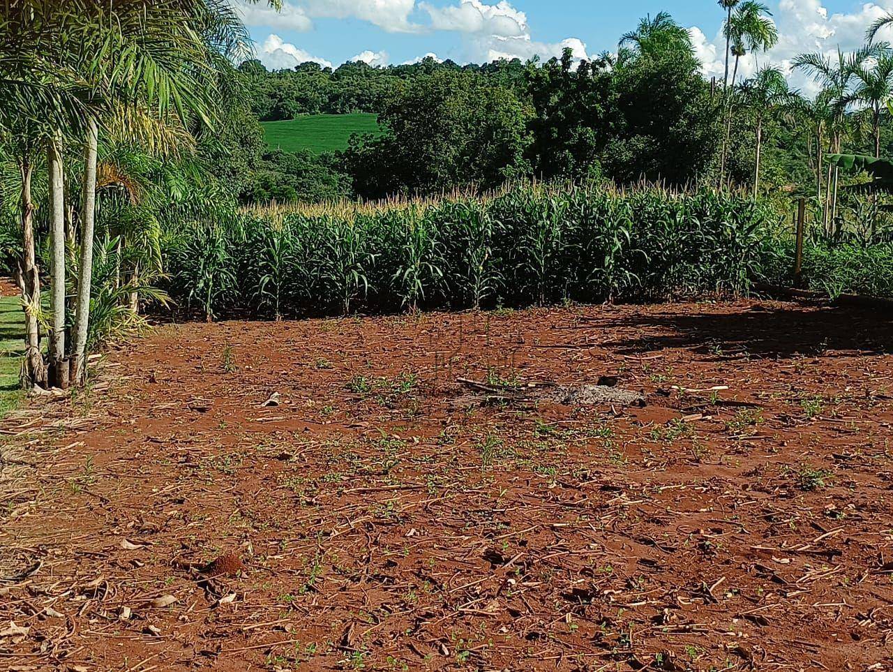 Chácara, 2 quartos, 5000 m² - Foto 2