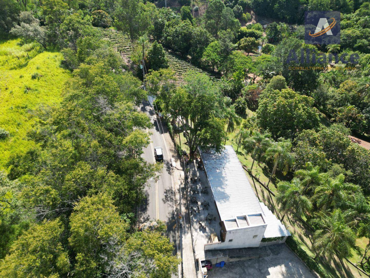 Terreno, 3 hectares - Foto 17