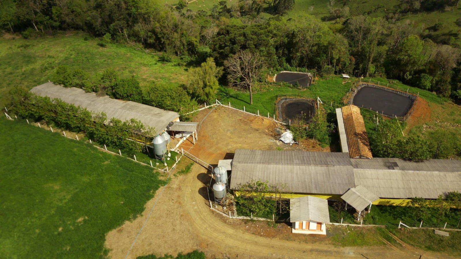 Fazenda à venda, 133000m² - Foto 10