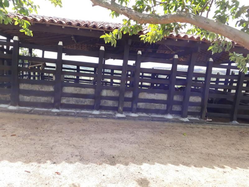 Chácara à venda - Foto 4