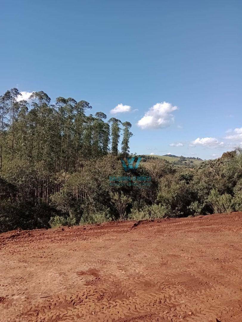 Terreno à venda, 4690M2 - Foto 7