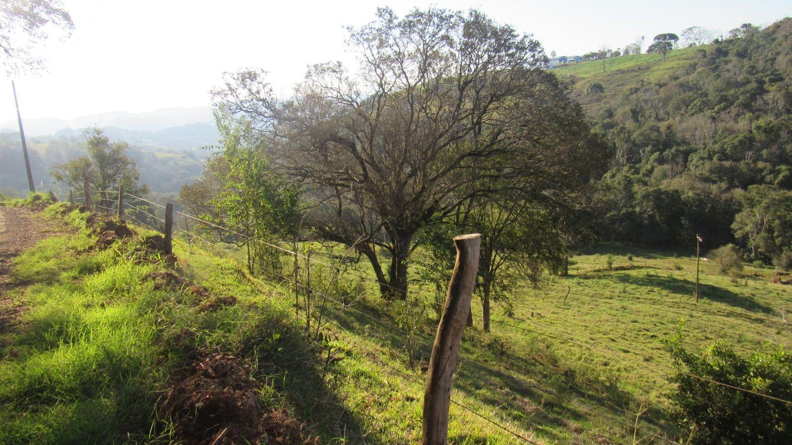 Terreno à venda, 20000m² - Foto 12