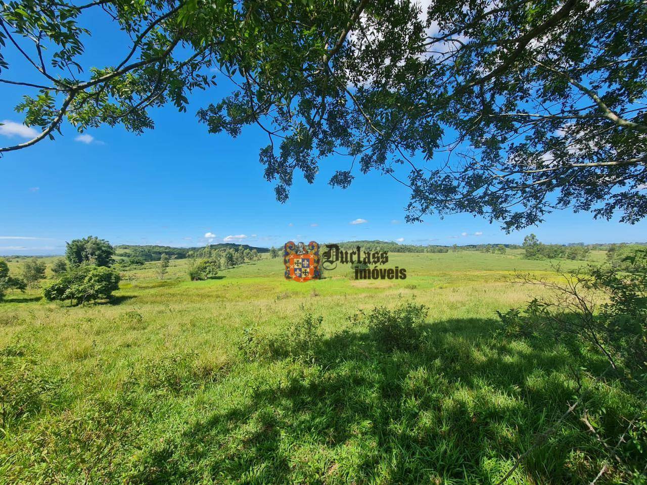 Fazenda à venda, 1258400M2 - Foto 36