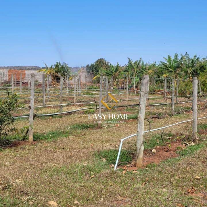 Chácara, 2 quartos, 6 hectares - Foto 5