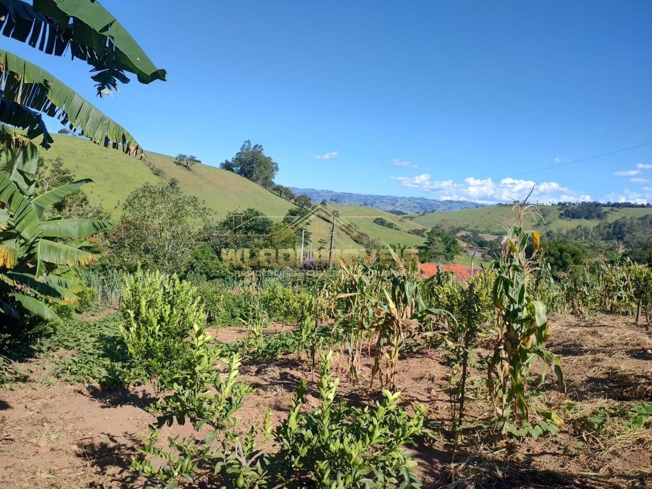 Chácara à venda, 5000m² - Foto 12