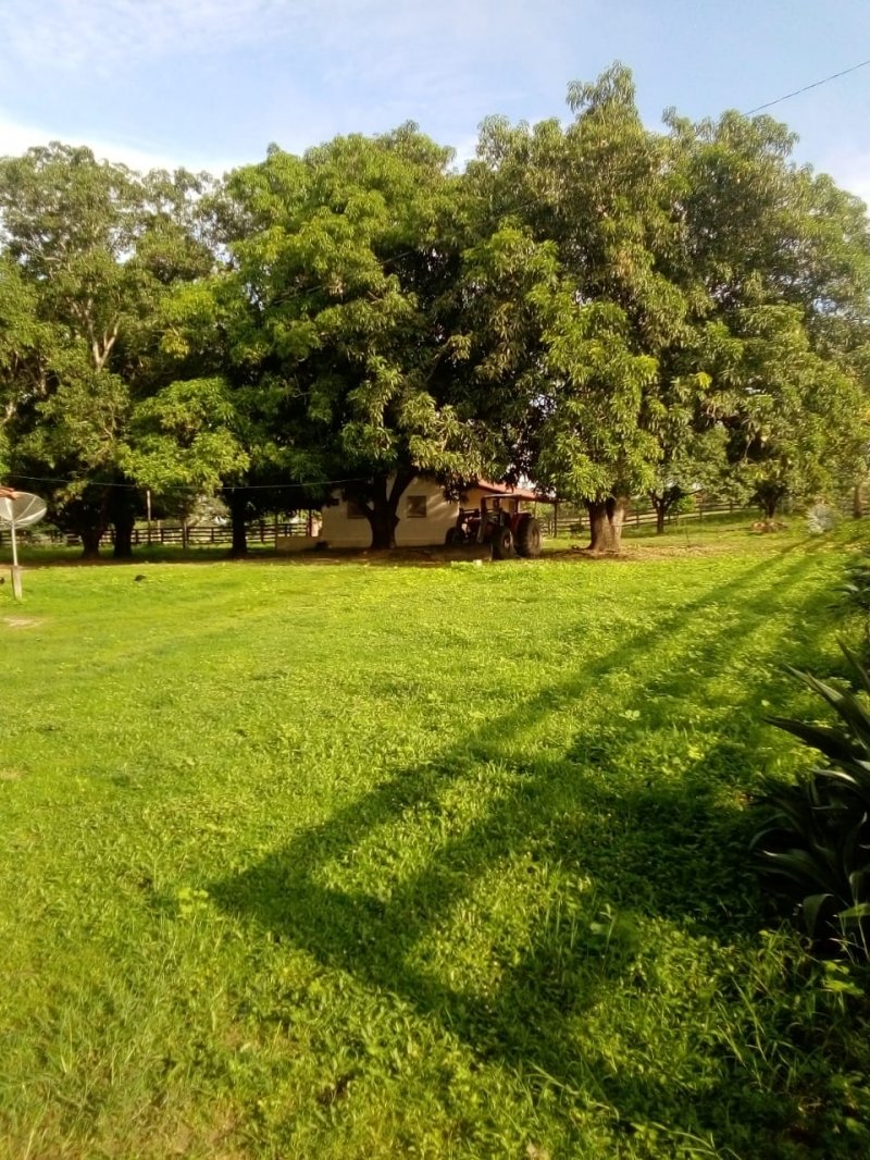 Fazenda à venda, 685m² - Foto 6