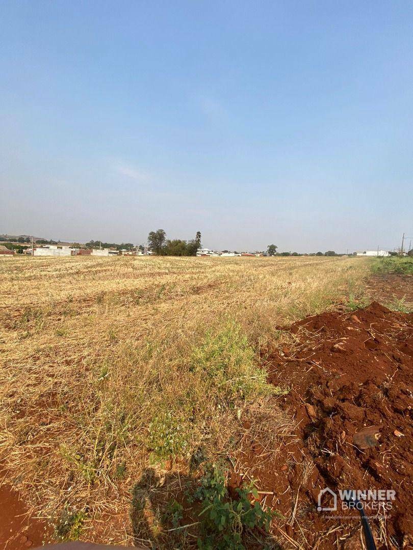 Terreno à venda, 60500M2 - Foto 3