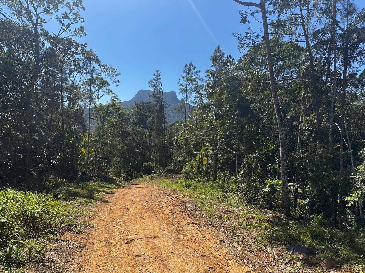 Terreno, 4 hectares - Foto 9