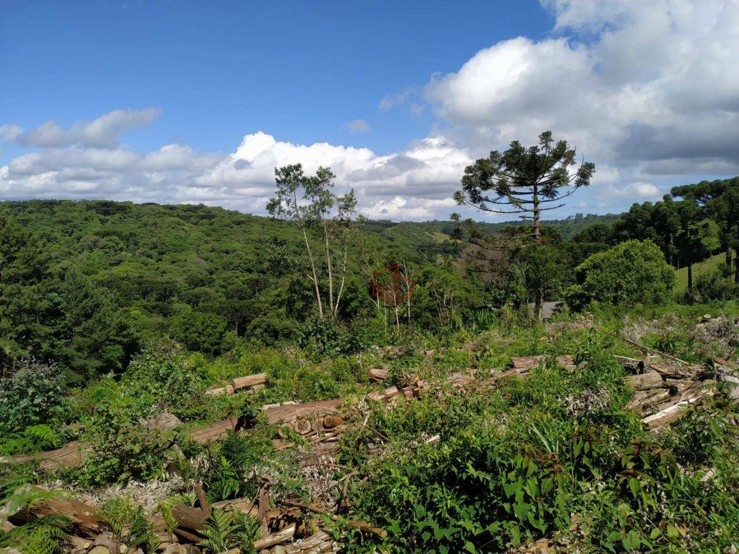 Sítio à venda, 60000M2 - Foto 5