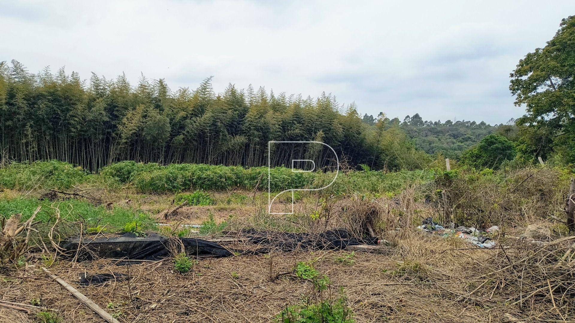 Terreno à venda, 2460M2 - Foto 3