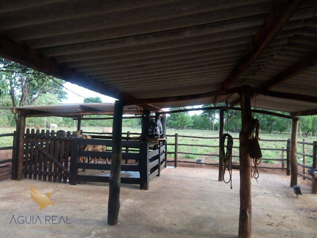 Chácara à venda com 3 quartos, 70000M2 - Foto 11