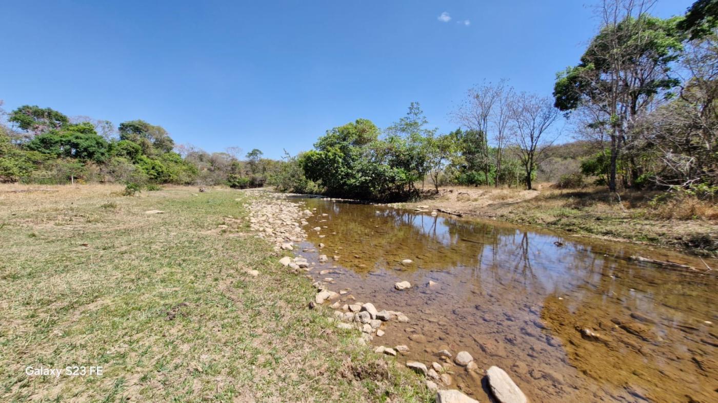 Fazenda à venda com 4 quartos, 1180000m² - Foto 1