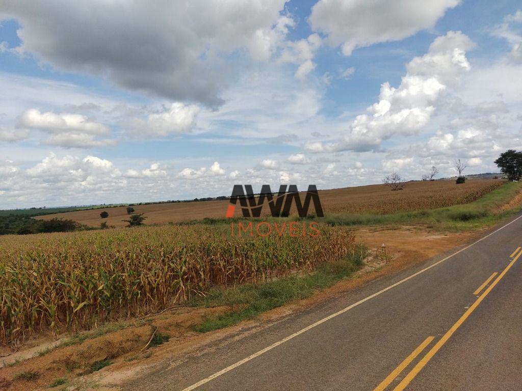 Fazenda-Sítio-Chácara, 16000 hectares - Foto 22