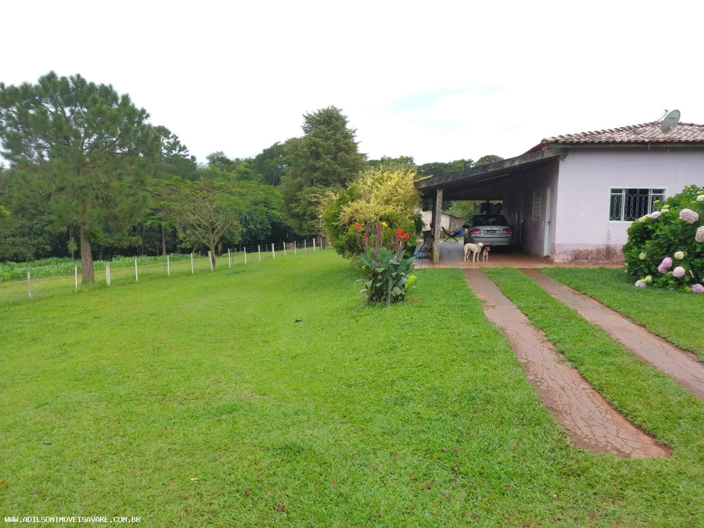 Sítio à venda com 3 quartos, 24200m² - Foto 2