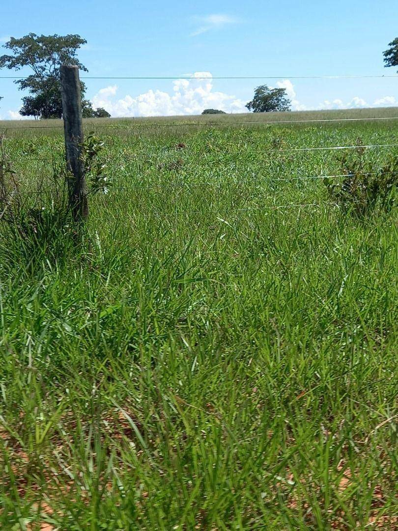 Fazenda à venda, 11610000M2 - Foto 7