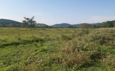 Fazenda à venda com 3 quartos, 110000m² - Foto 6