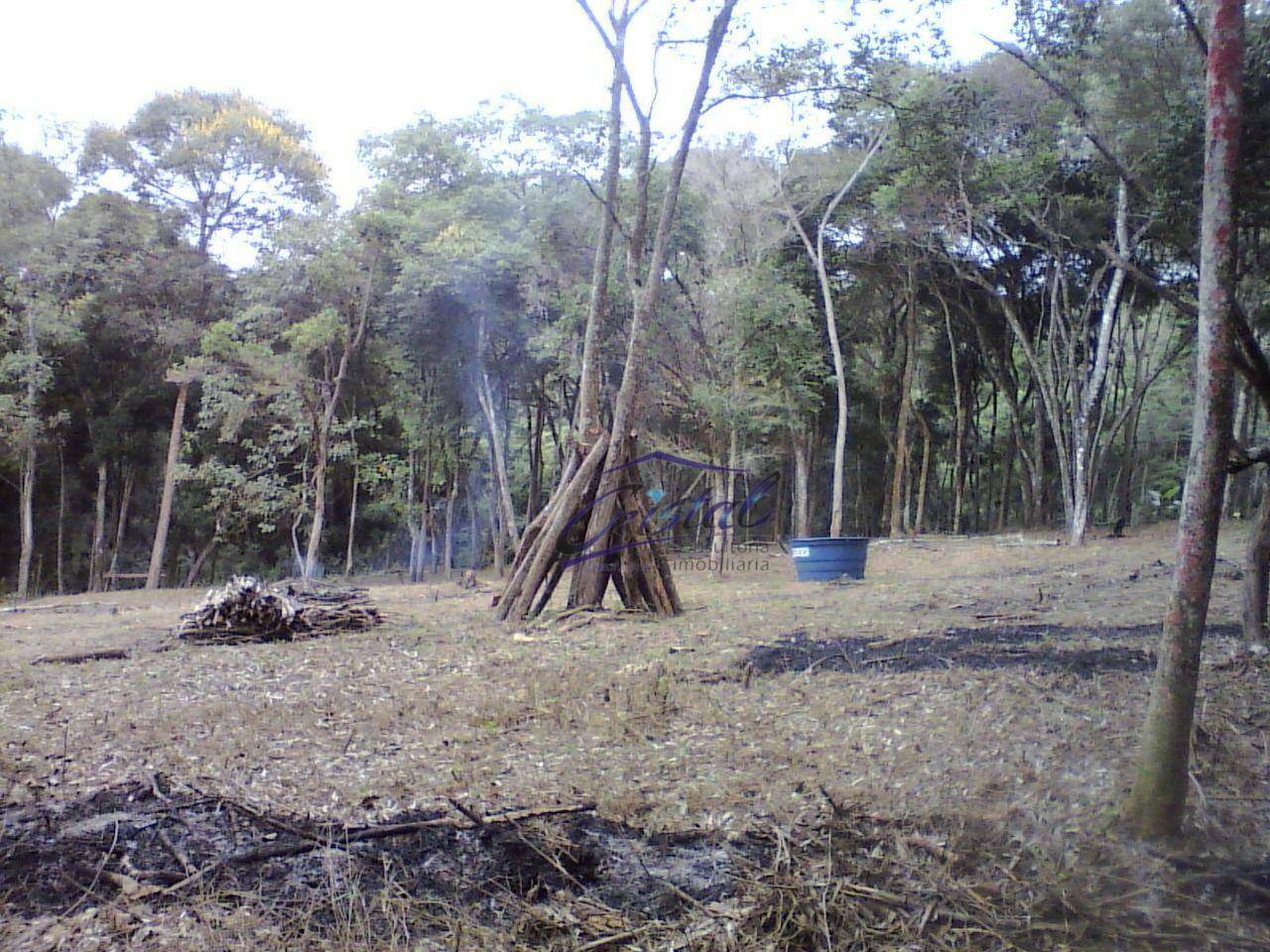 Terreno à venda, 1600M2 - Foto 8