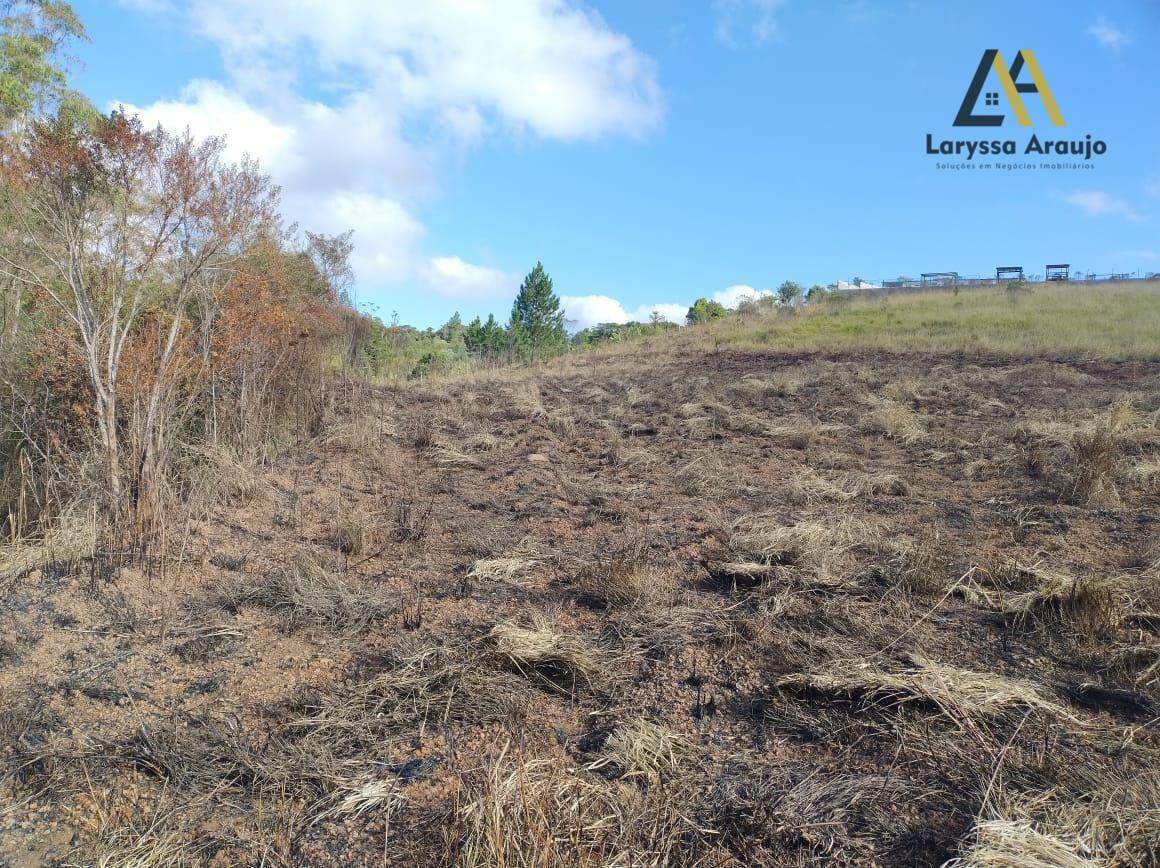 Terreno à venda, 2000M2 - Foto 3