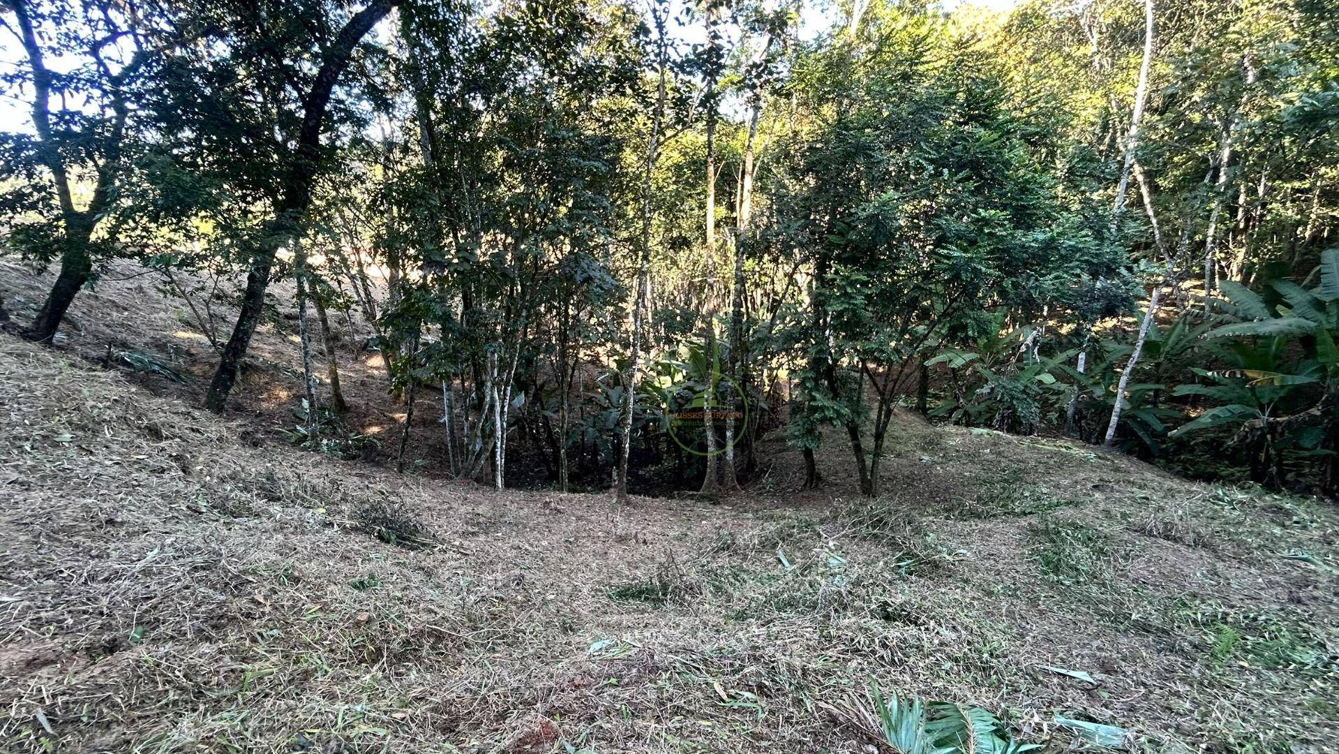 Terreno, 10000 m² - Foto 4