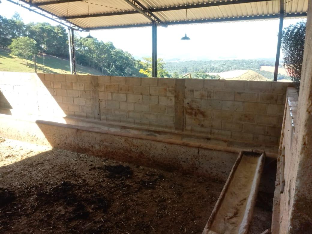 Sítio à venda com 3 quartos, 220m² - Foto 9