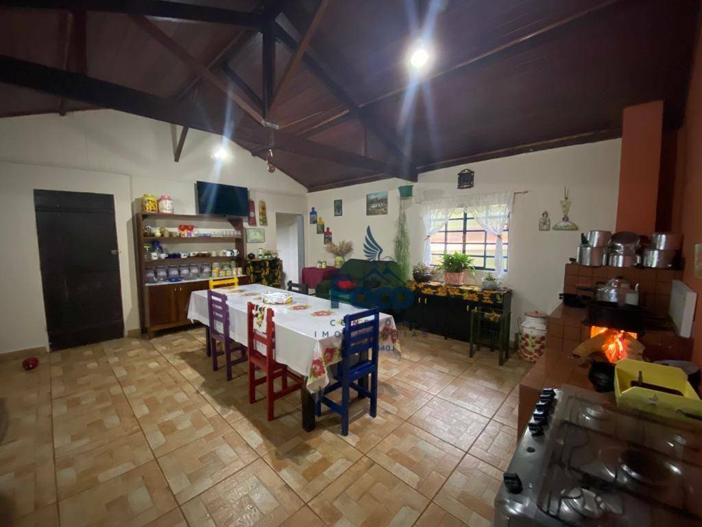 Chácara à venda com 4 quartos, 6000M2 - Foto 4