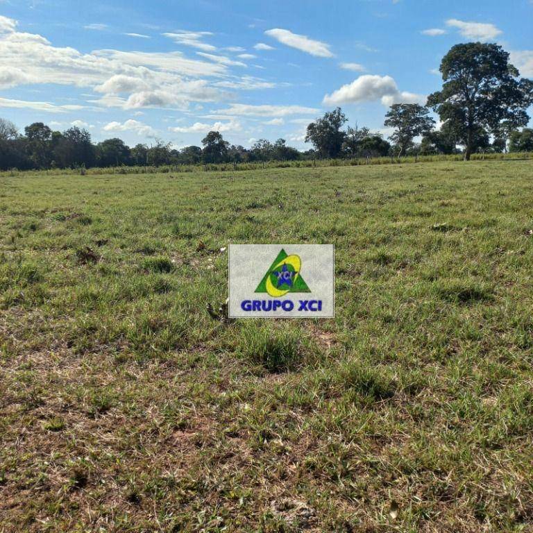 Fazenda à venda, 10000000M2 - Foto 15