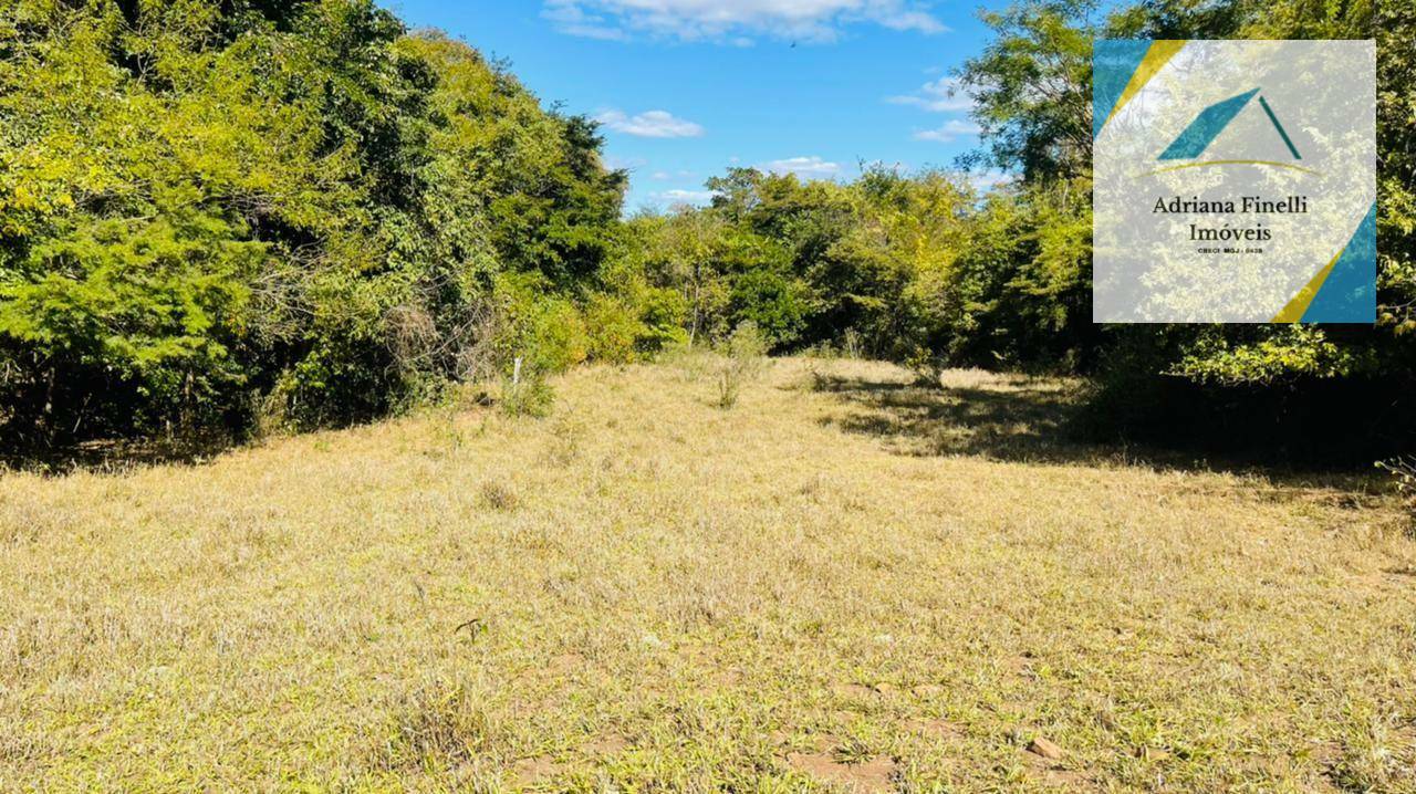 Fazenda à venda, 2270000M2 - Foto 12