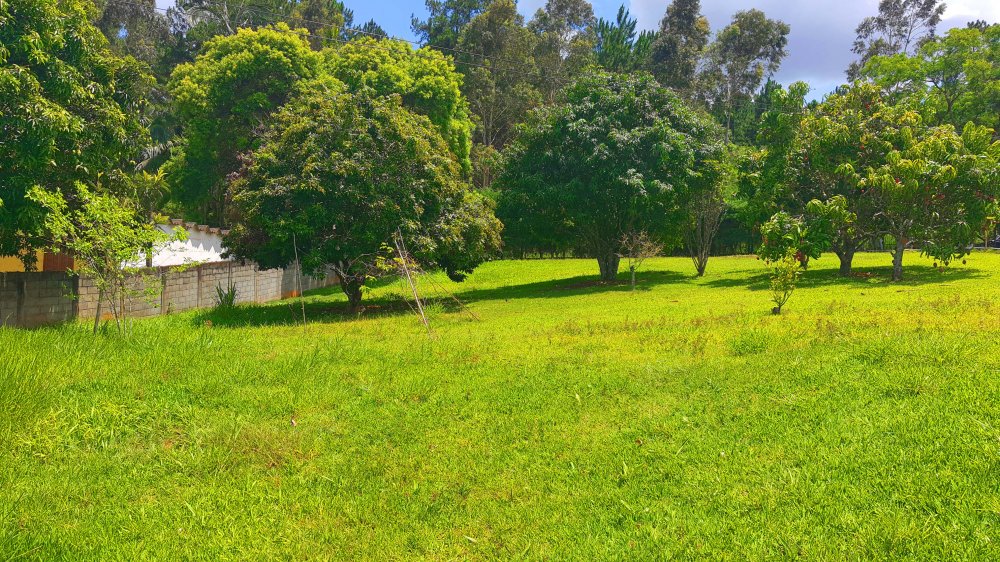 Fazenda à venda com 2 quartos, 3768m² - Foto 10