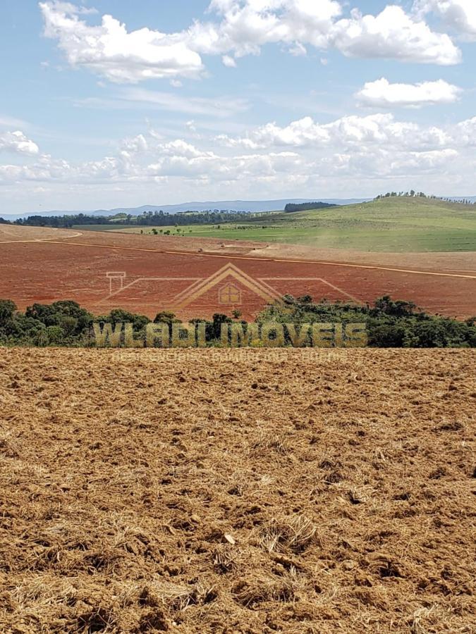 Fazenda à venda, 330m² - Foto 6