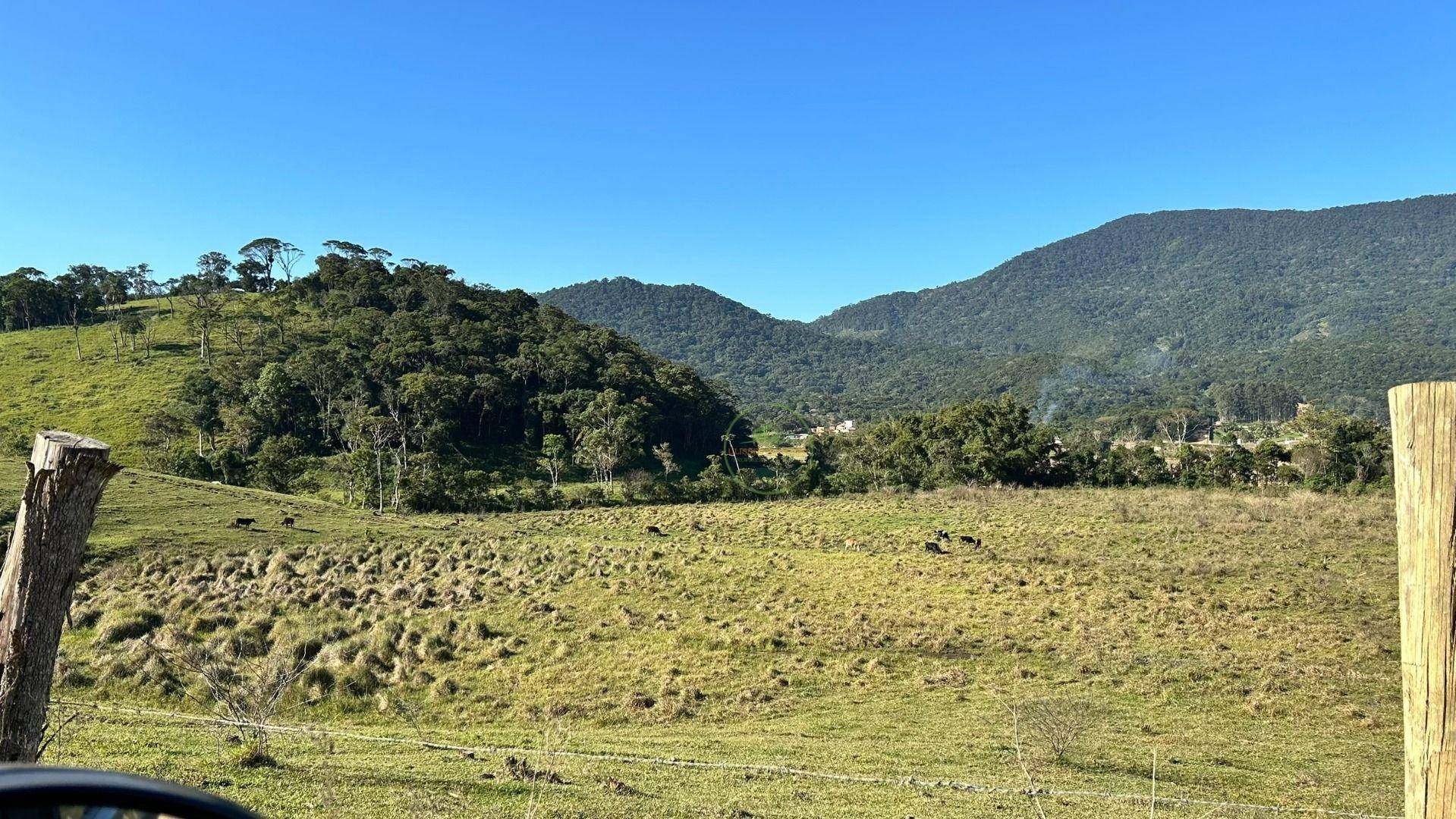 Terreno, 27 hectares - Foto 31