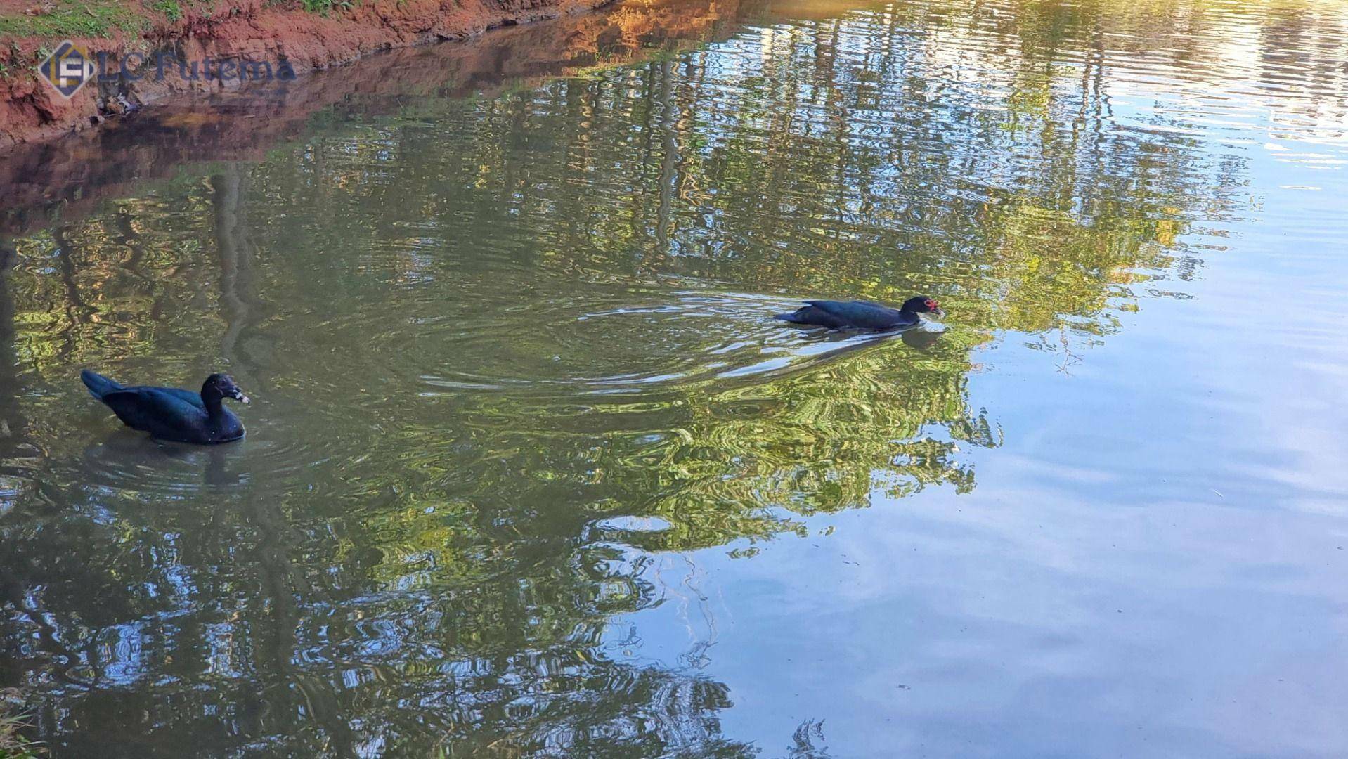 Loteamento e Condomínio à venda, 500M2 - Foto 16